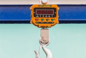 crane scale